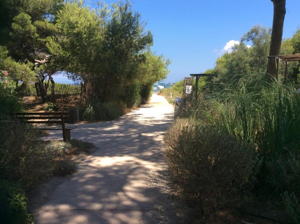 Hyères La Badine 5P Plage Piscine Clim Jacuzzi Parc Luxuriant المظهر الخارجي الصورة
