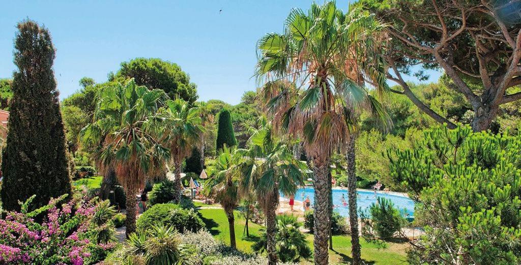 Hyères La Badine 5P Plage Piscine Clim Jacuzzi Parc Luxuriant المظهر الخارجي الصورة